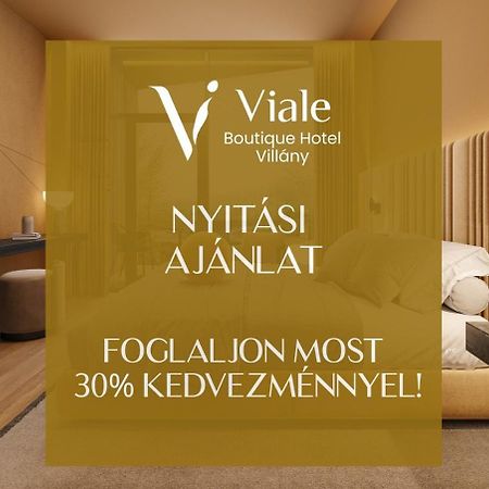 Villány Viale Boutique Hotel מראה חיצוני תמונה